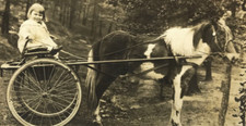 Vtg rppc horse for sale  Somerset