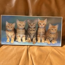 Curious kittens hologram for sale  Armada