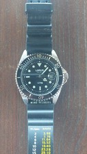 Rare lorus tidal usato  Schiavon