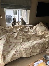 Toile jouy professionally for sale  SUTTON COLDFIELD