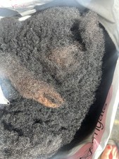 Raw black welsh for sale  ASHFORD
