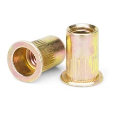 Rivet nuts 100 for sale  Parkville