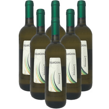 Vino bianco falanghina usato  Monte di Procida