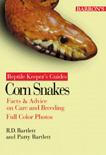 Corn snakes patricia for sale  UK