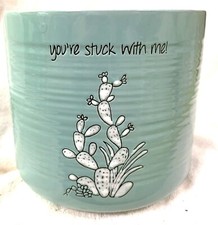 Stuck senora cactus for sale  Acworth