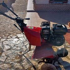 Motozappa briggs stratton usato  Palombara Sabina