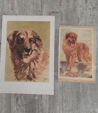 Leonberger hund hunde gebraucht kaufen  Burscheid