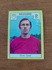 Silvio zanon reggiana usato  Villanova di Camposampiero