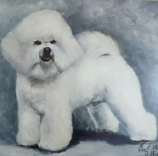 Bichon frise ruth d'occasion  Expédié en Belgium