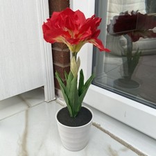 Lighted plant flower for sale  SUTTON COLDFIELD
