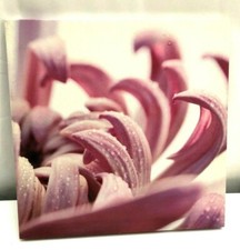 Wall art canvas for sale  Clarkesville