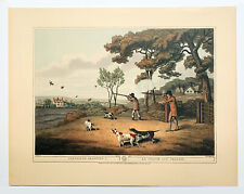 Orme collection partridge for sale  STOURPORT-ON-SEVERN