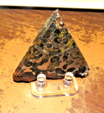Sericho pallasite meteorite for sale  Malone