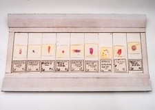 Histology microscope slide for sale  UK