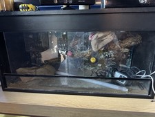 Vivarium ideal bearded for sale  LYTHAM ST. ANNES