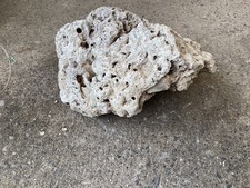 dry reef rock for sale dry reef rock for sale YEOVIL