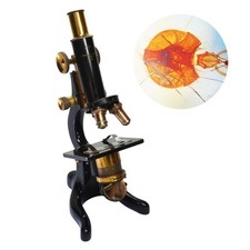 Antique microscope watson for sale  PENRITH