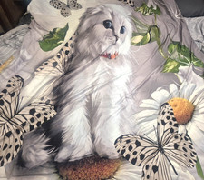 Cute white cat for sale  Forest City
