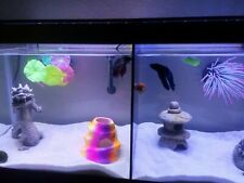 Aqueon gallon fish for sale  Jacksonville