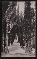 Ventimiglia mortola cypress usato  Misilmeri