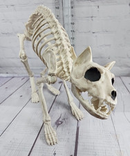 halloween decor bone dogs cat for sale halloween decor bone dogs cat for sale Odenville
