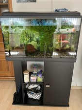 Aquarium 160l becken gebraucht kaufen  Loxstedt