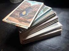 Vintage postcard mixed for sale  Accomac