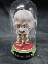 Shrunken head museum for sale  Newry