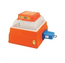 Brutmaschine brutautomat brutg gebraucht kaufen  Gemünden