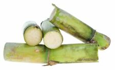 Sugarcane fresh exotic for sale  INGATESTONE
