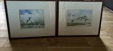 Prints ducks flight for sale  KENDAL