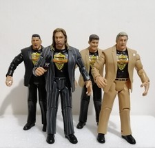 Wwe custom evolution usato  Palermo