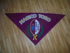 Splendido stendardo foulard usato  Torino