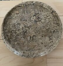 Vintage marble fossil for sale  Somersworth