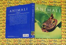 Book libro grande usato  Vigarano Mainarda