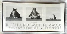 Richard watherwax kenedy for sale  Austin