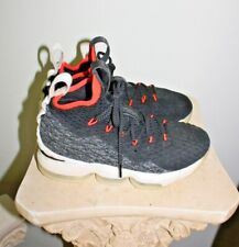 Nike lebron shoes for sale  Spencer