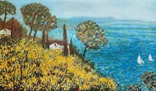 Ginestre riva mare usato  Pescara