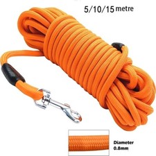 Laisse chien nylon d'occasion  Les Andelys