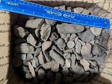 Pound lbs fossil for sale  Alhambra