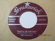 Crickets buddy holly for sale  KING'S LYNN