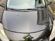 Motorhaube renault clio gebraucht kaufen  Leverkusen