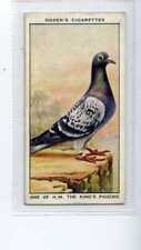 Ogdens racing pigeons for sale  WITHERNSEA