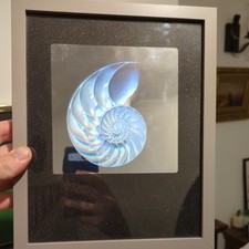Vintage 1980s hologram for sale  NEWPORT