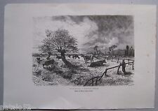 H172 gravure bois d'occasion  Grancey-le-Château-Neuvelle