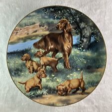 Irish setters plate for sale  Vergas