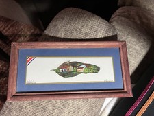 Vintage costa rica for sale  Canton