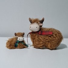 Fluffy scottish highland for sale  BRADFORD