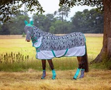 Shires tempest zeb for sale  UK