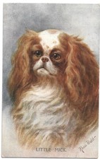 Antica cartolina animali usato  Savona